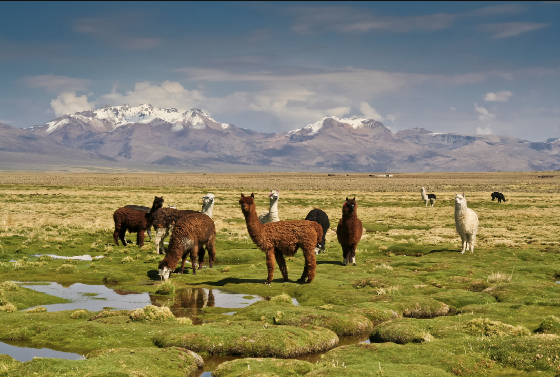 Lateinamerika – Salar de Uyuni Bolivien